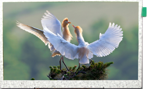 TFT LCD液晶顯示屏—不同環境下的應用